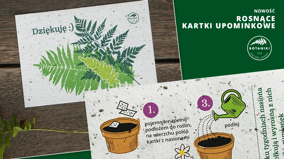 Nowatorska kartka z nasionami: idealny dodatek do prezentu dla miłośników roślin